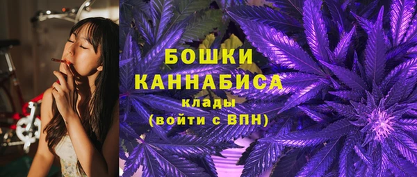 спайс Богородицк