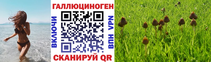 omg зеркало  Комсомольск  Псилоцибиновые грибы Magic Shrooms  закладки 